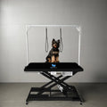 Petsproofing Customized Professional Portable Stainless Steel Folding Adjustable Pet Dog Grooming Table