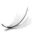 320 Fans Large Tray Heat Bonded Volume Fan Eyelashes Pointy Base Premade Fans Wholesale OEM 5D 7D Sample 3 Days