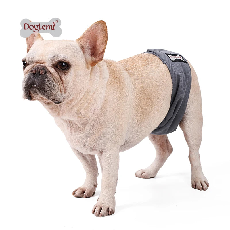 Eco-Friendly Durable Comfortable Graphene Healthy Fabric Dog Wrap Diapers Washable Soft Pet Apparel Accessories Winter Print