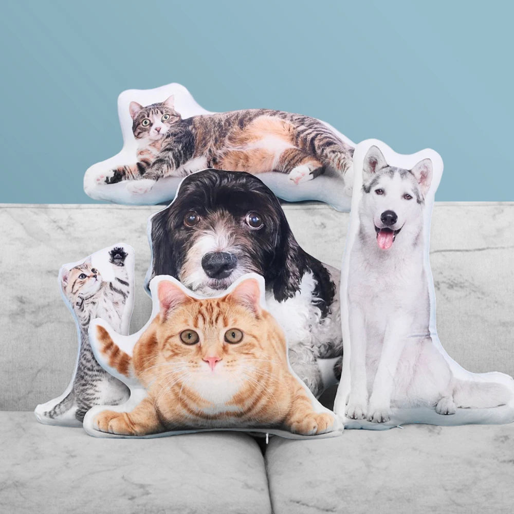 T Customized Throw Pillows As Gift Cartoon Anime Design Irregular Shaped Pillow Printed  Cushion