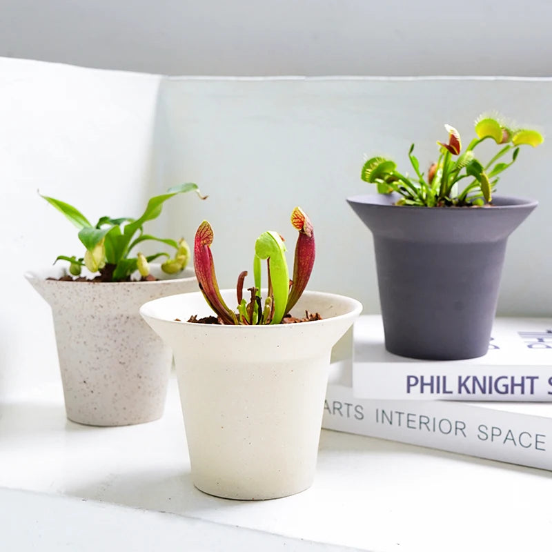 Modern Design Round Ceramic Flower Pot with Hole for Home Garden Decor