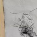 Eyebrow Transplant Needles Eyebrow Transplant Product for Real Eyebrow Master