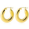 Exaggerate Big Circle Earrings Titanium Thick Chunky Hoop Earring Stainless Steel Simple Classic for Women Gold Plated 5MM