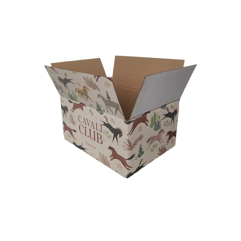 Custom Logo Carton Manufacturer Corrugated Mailing Box for Packing Delivery Box Cardboard Shipping Colorful Box Packaging