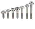 Gr5 M6 Polished Titanium Alloy Hexagon Head Flange Bolt DIN6921 Standard ROHS Certified for Bicycle