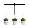 Indoor Herb Garden Hanging Planter 3-Piece Wall/Window Plant Hanger Flower Pots & Planters for Indoor Use
