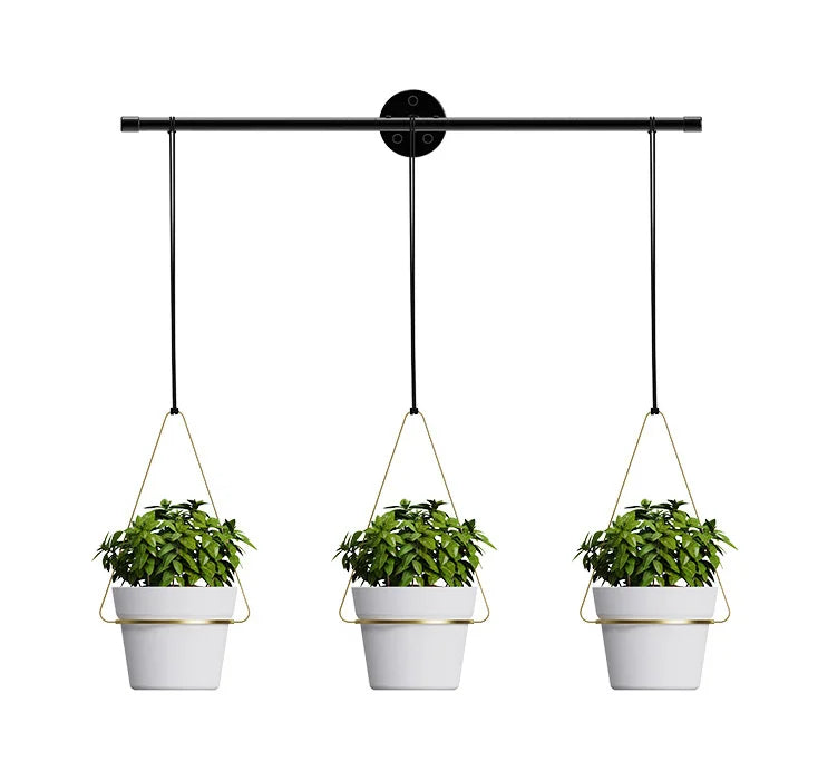 Indoor Herb Garden Hanging Planter 3-Piece Wall/Window Plant Hanger Flower Pots & Planters for Indoor Use