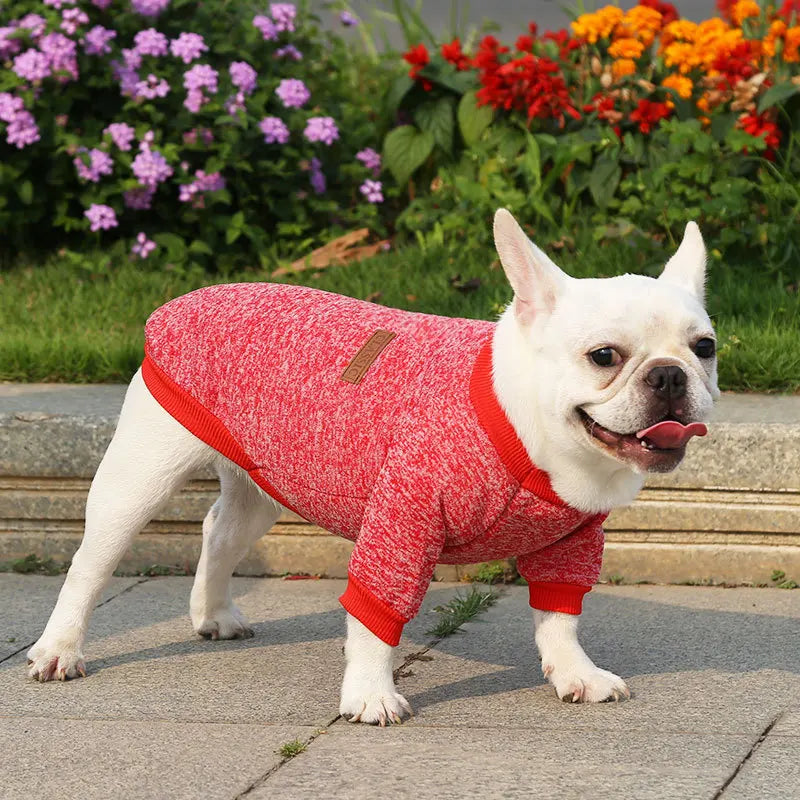 Custom Lovely Blank Dog Clothes for Small Dogs From Hoodie Factory Made in China