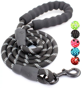 Customized New 5FT Nylon Leather Strong Rope Dog Leash with Premium Quality Padded Handle Quick Release for Dogs