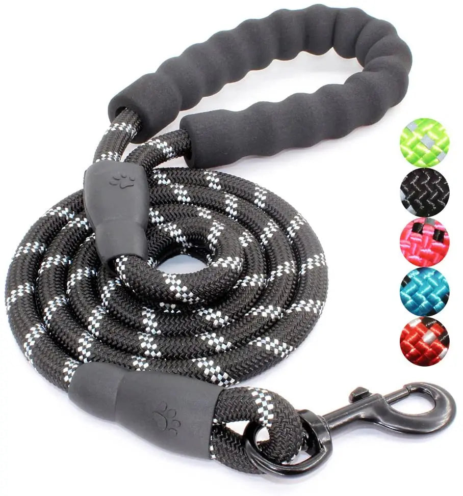 Customized New 5FT Nylon Leather Strong Rope Dog Leash with Premium Quality Padded Handle Quick Release for Dogs