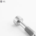 High Quality DIN Steel Nickel Plated Oval Head Metric Screw Cross Slotted M2.5X11mm Schroff 21100-748