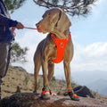 Truelove Wholesale Breathable TPR Sole Outdoor Reflective Dog Boots Waterproof Rain Anti-slip Adjustable Hiking Soft Pet Shoes