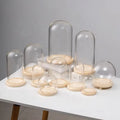 Home Decor Eco Friendly Handmade Love Clear Transparent Cloche High Borosilicate Glass Eternal Flower Vase Handblown Dome Wood