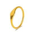 INS Simple Stainless Steel Gold Plated Irregular Shaped Plate Finger Rings Titanium Steel PVD Personalized Ring
