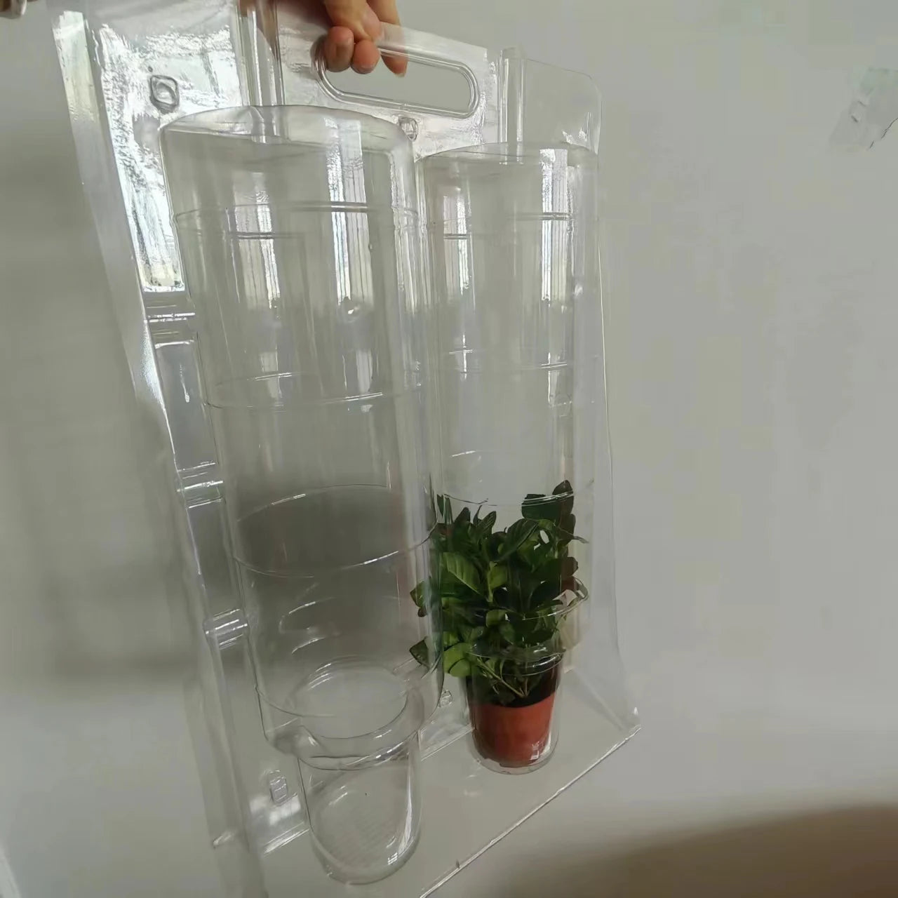 Customized Disposable clear PVC Vacuum Plastic Tri Fold Clamshell Packaging with Handle for Plants