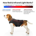 Wholesale Veterinary Red Light Therapy Pad 850nm Infrared Heat Treatment Vest For Dogs Cats Recovery MegaBDM