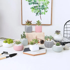 Modern Home Hotel Decor Ceramic Handmade Shape Classic Style Luxury Packaging Matte Color Planter + Plant Liner Customizable