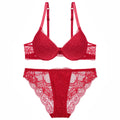 Good Quality Womens Lace Embroidery Underwear Sets Sexy Bra and Bikini Panty Set Comfortable Lingerie Set
