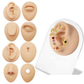 Gaby Factory Stents Simulation Body Part Silicone Display Ear Nose Lip Navel Wholesale Piercing Jewelry Display Model MegaBDM