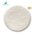 Food Grade Oat Extract Gluten Free Instant Oat Flour Enzymatic Low/Sugar-Free Oat Milk Powder