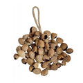 Hand Shaker Pangi Seed Shell Shaker/Nutshell Percussion Authentic Traditional Rattle (Natural)