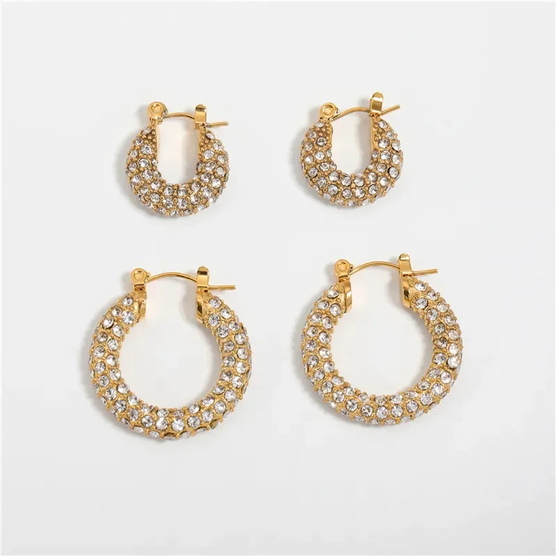 Fenny 18K Gold-plated Wholesale No Fade &Waterproof Luxury Zirconia Micro Pave Hoop Stainless Steel Earring for Women