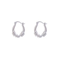Wholesale Silver Earrings for Women Fashion Jewelry Pendientes Twist Hoop Earrings