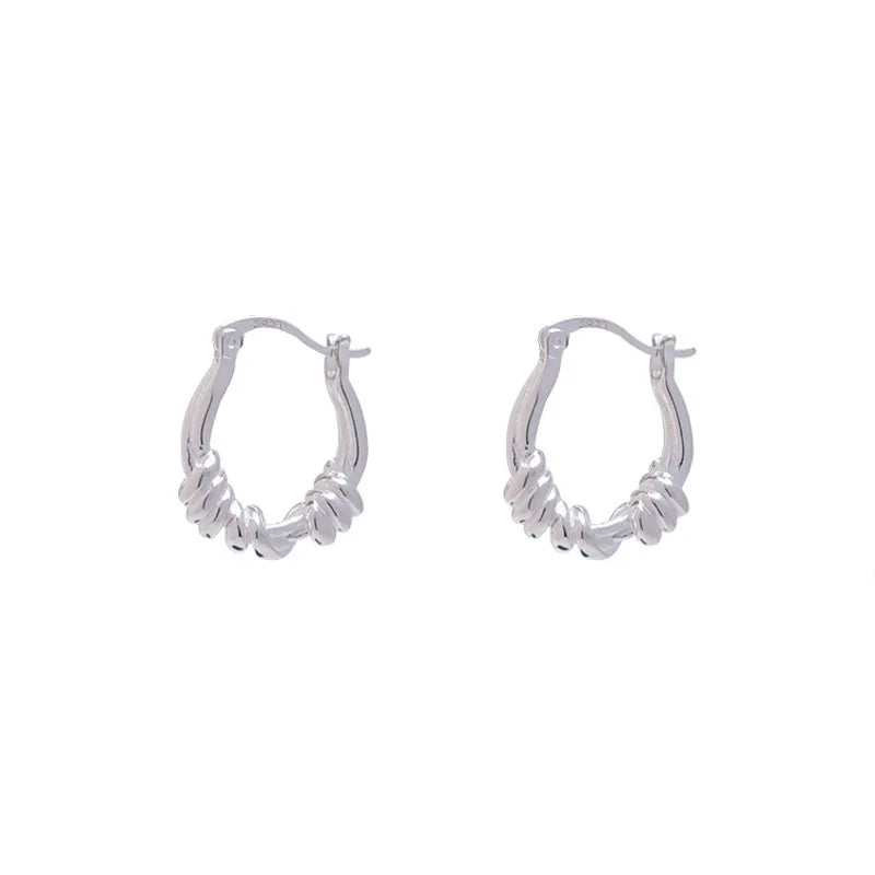 Wholesale Silver Earrings for Women Fashion Jewelry Pendientes Twist Hoop Earrings