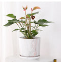 Hot Factory European Marbling Ceramic Flower Pot Tray Three-Piece Set Garden Decor & Planters for Home Use