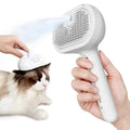 Amaz Hot Selling  Pet Self Cleaning Steam Brush Dog Hair Grooming Brush Misting and Cat Steamer Brush for Long Haired Cats