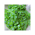 Polymer Clay Kiwifruit Slices Slime Filler Charms Fruit Slices Crafts Nail Art Supplies Cellphone Decoration