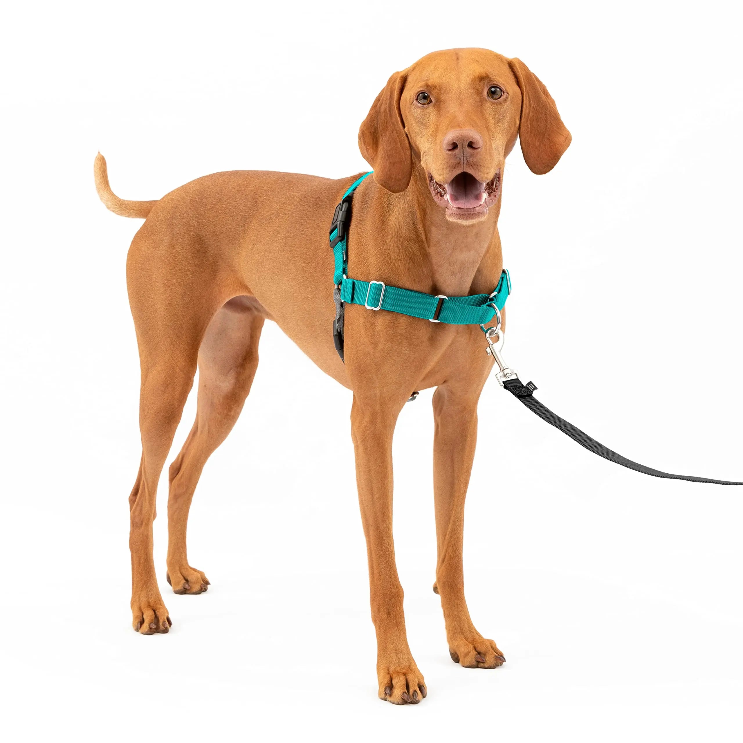 For PetSafe for Easy Walk Dog Harness Personalized Nylon Harness for Medium to Large Dogs Adjustable for Easy Control No Pull Fe