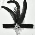 Yolan Women Hair Accessories Roaring 1920s Gatsby Flapper Costume Accessories Set Rooster Feather Flapper Feather Headband