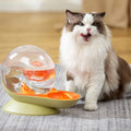 Pet Drinker 2.8L Water Bowl Snail Shape Double Filter ABS With Cotton Filter Automatic Cat Dog Water Dispenser