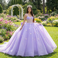 Princess Quinceanera Dress Bow Butterfly Applique Bead Crystal Birthday Prom Sweet 16 Gown 5690