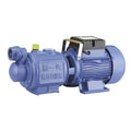 220V Household Self Priming Cast Iron Water Pump Single Phase Screw Type Ultra High Lift Electric Pump