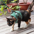 Hot Sale Cute Breakaway Resistant Mesh Comfortable Cat Leash and Harness Vest Set