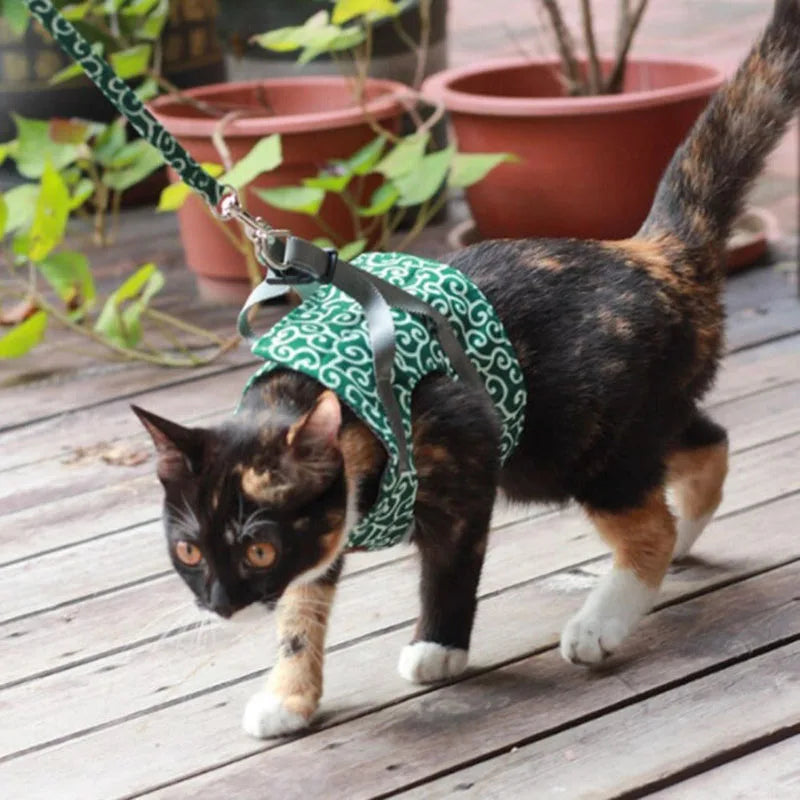 Hot Sale Cute Breakaway Resistant Mesh Comfortable Cat Leash and Harness Vest Set