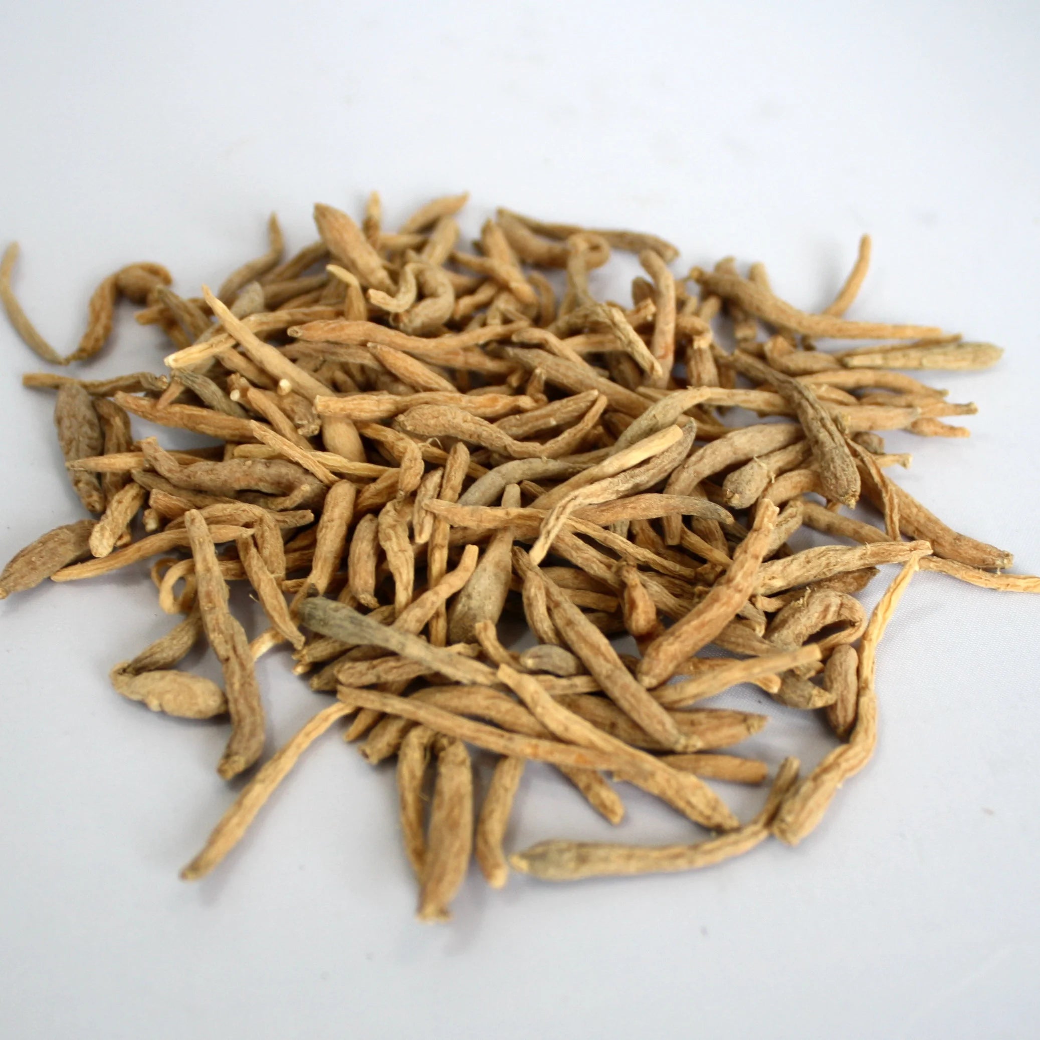 1014 Tai Zi Shen Radix Pseudostellariae Fresh Raw Health Tea with Flavor Available in Bulk Sachet Bottle Packaging