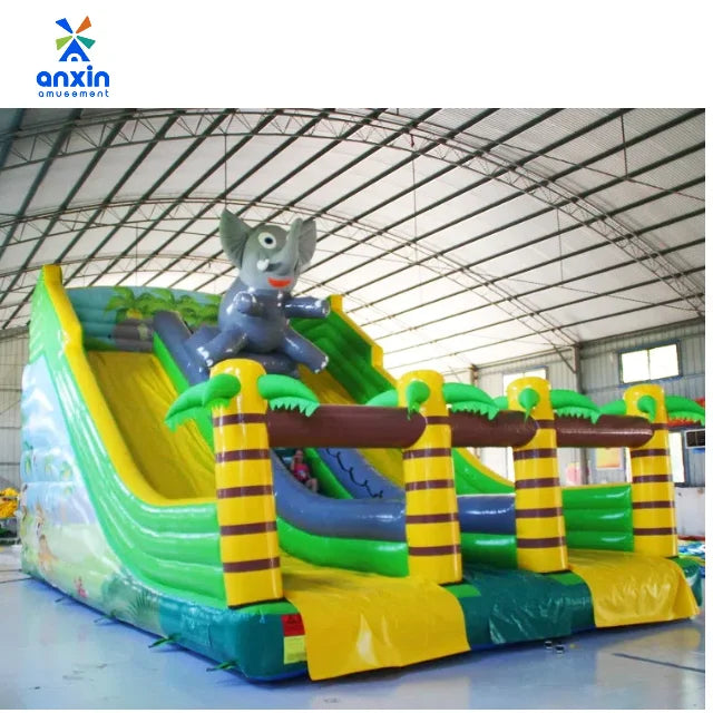 Wholesale Inflatable Double Slide Durable Outdoor Model Safety Features 10x6m PVC Easy Setup for Backyard Parties Birthdays for