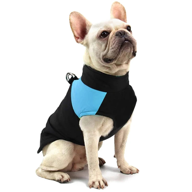 Pet Custom Designer Waterproof Heated Dog Clothes Cape Style Winter Dog Coats and Jackets Pet Coat Clothes Dog Jacket