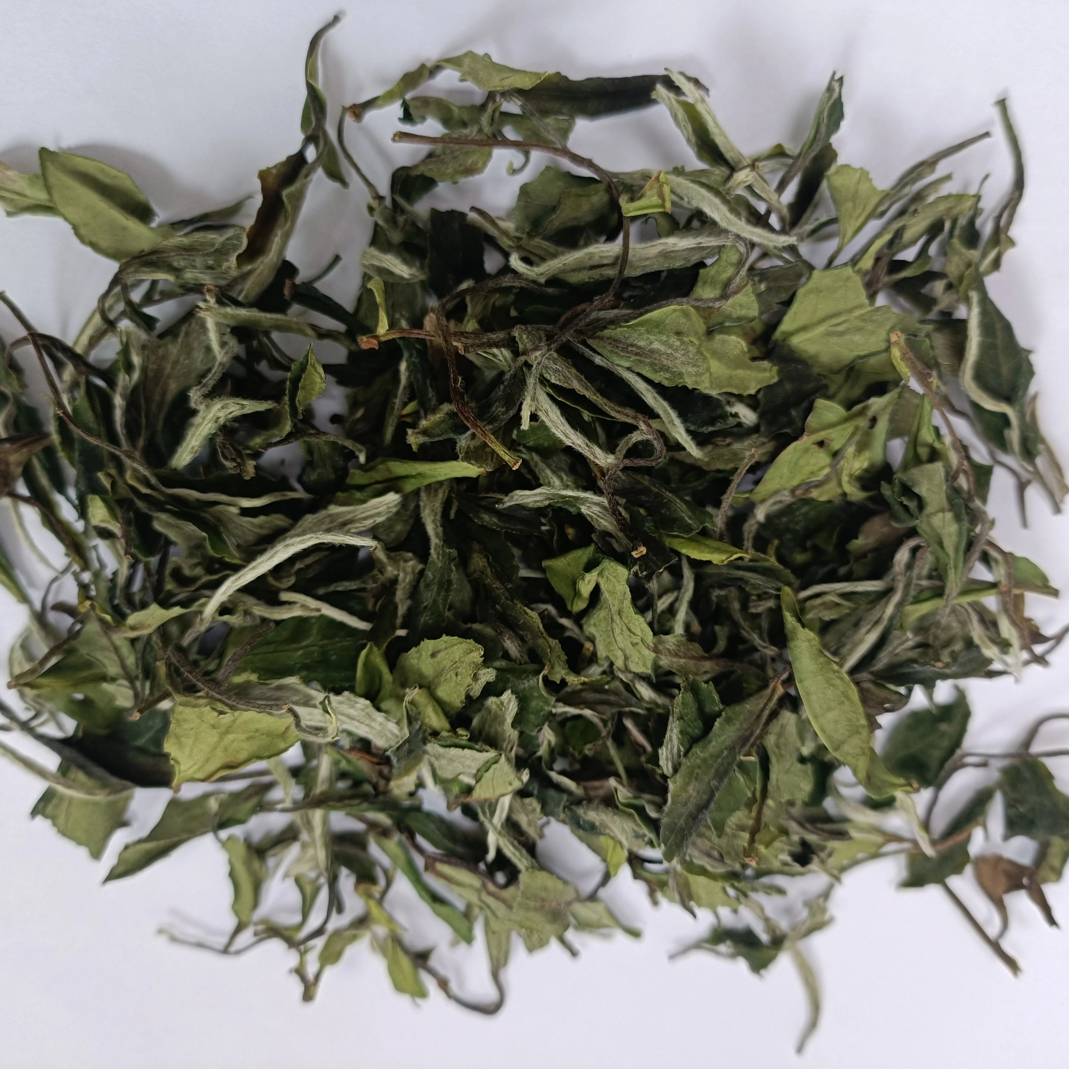 White Peony Tea Baimudan White tea