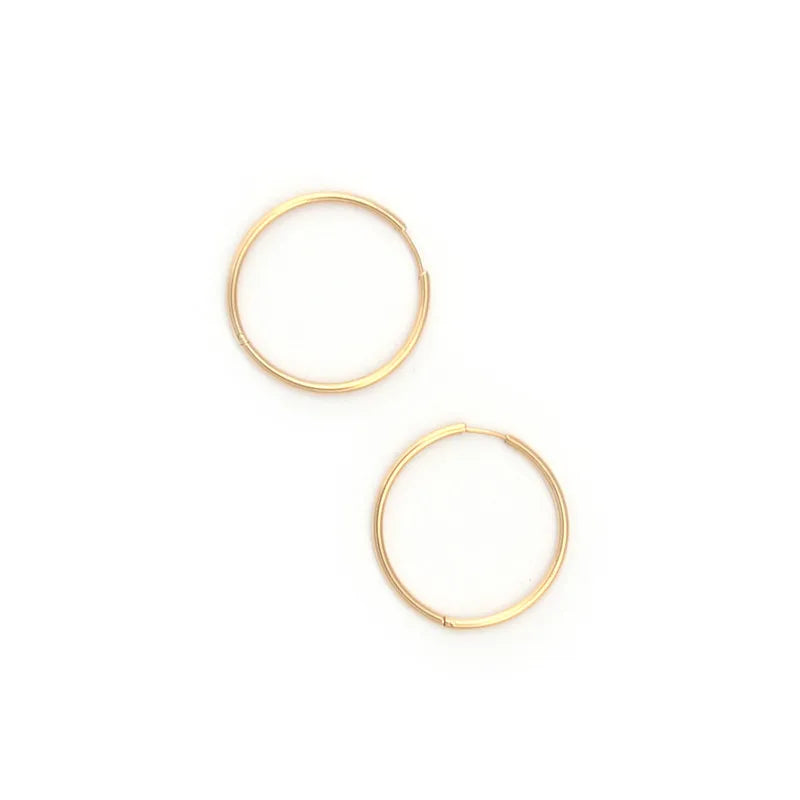 Fenny Waterproof Versatile Simple Circle Hoop Basic Earring Trend for Women Fast Delivary Wholesale Stainless Steel Ladies Jewel