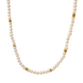 Factory Romantic Freshwater Pearl Necklace with Stainless Steel Jewelry Necklace