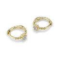Fashion Jewelry Earrings Sterling Silver Gold Plated Zircon Hoop Earring Women