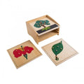 Montessori Wooden Materials Teaching Equipment Montessori Botany Puzzle Cabinet Preschool Kids Toys Montessori Bois