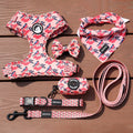 OKEYPETS Customised Pet Har No Pull Dog Harness Vest Personaised Padded Mesh Rainbow Harness for Dog