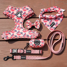 OKEYPETS Customised Pet Har No Pull Dog Harness Vest Personaised Padded Mesh Rainbow Harness for Dog