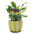 Tag with a Stick Plant Marker Garden Label Garden Tulip Tag