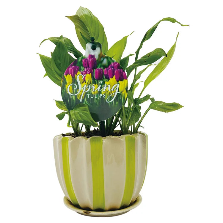 Tag with a Stick Plant Marker Garden Label Garden Tulip Tag